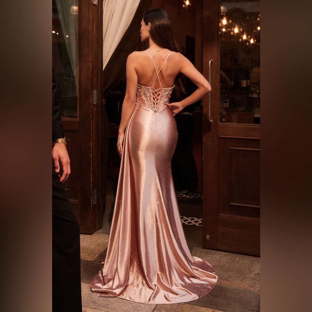 NWT- SATIN CRYSTAL FITTED BEADED GOWN - Picture 2 of 4